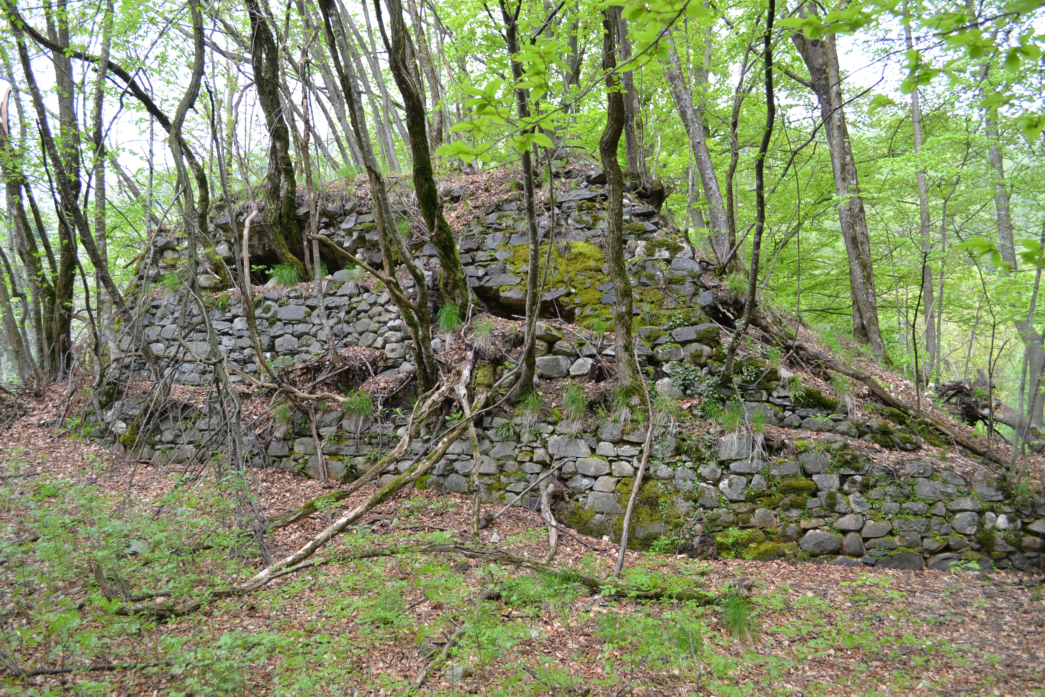 Ruderi di Castel Tesobo a Roncegno (CASTELLO) - RONCEGNO TERME (TN) 