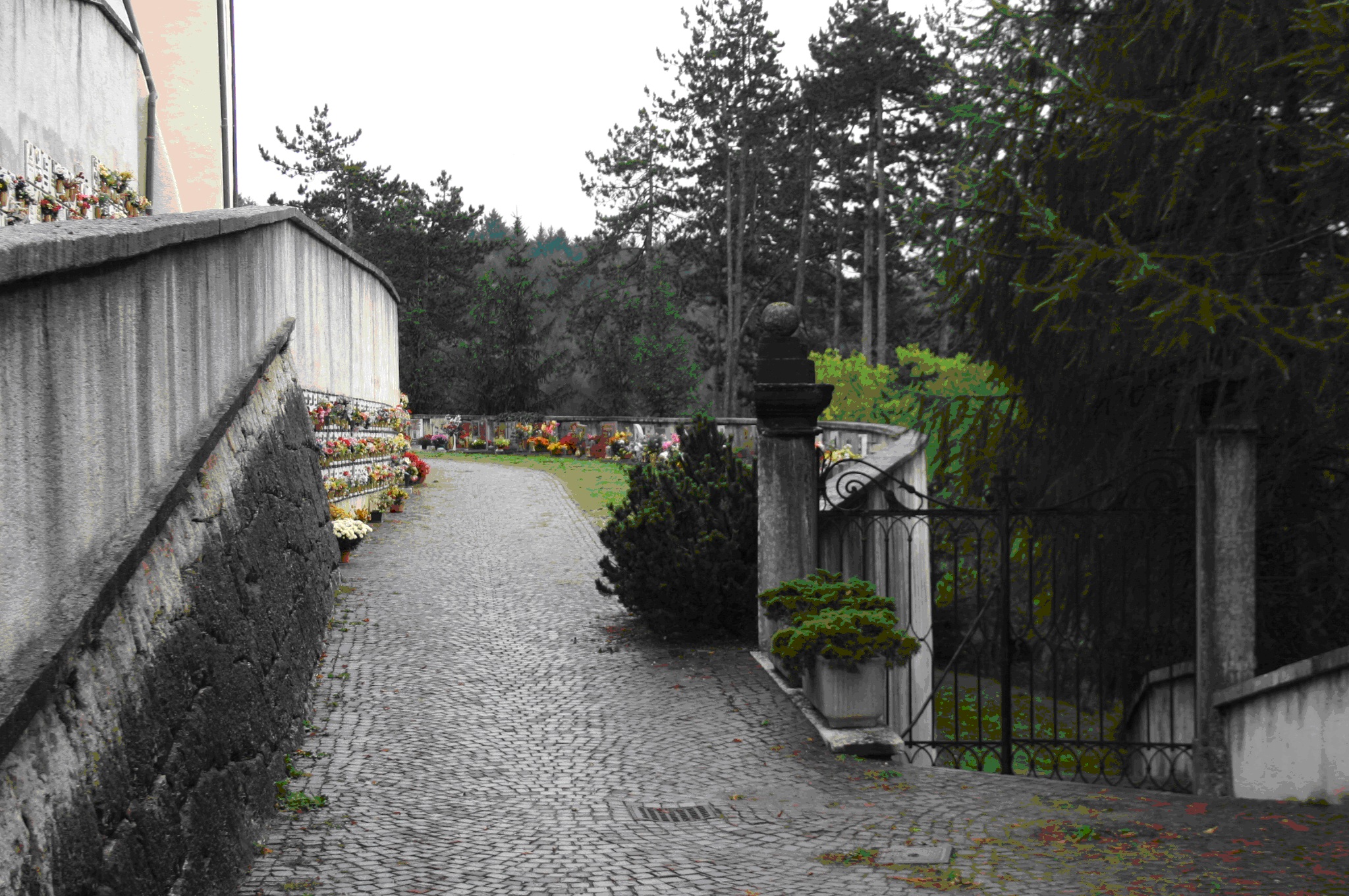 Strada d'accesso al cimitero di Coredo (STRADA) - PREDAIA (TN) 