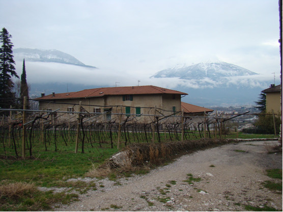 Complesso antico ospizio di S. Nicolò p.ed. 1509 CC. Trento (OSPIZIO) - TRENTO (TN) 