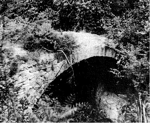 Ponte Marsili/A su parte della p.f. 1991 CC. Dambel (PONTE) - DAMBEL (TN) 