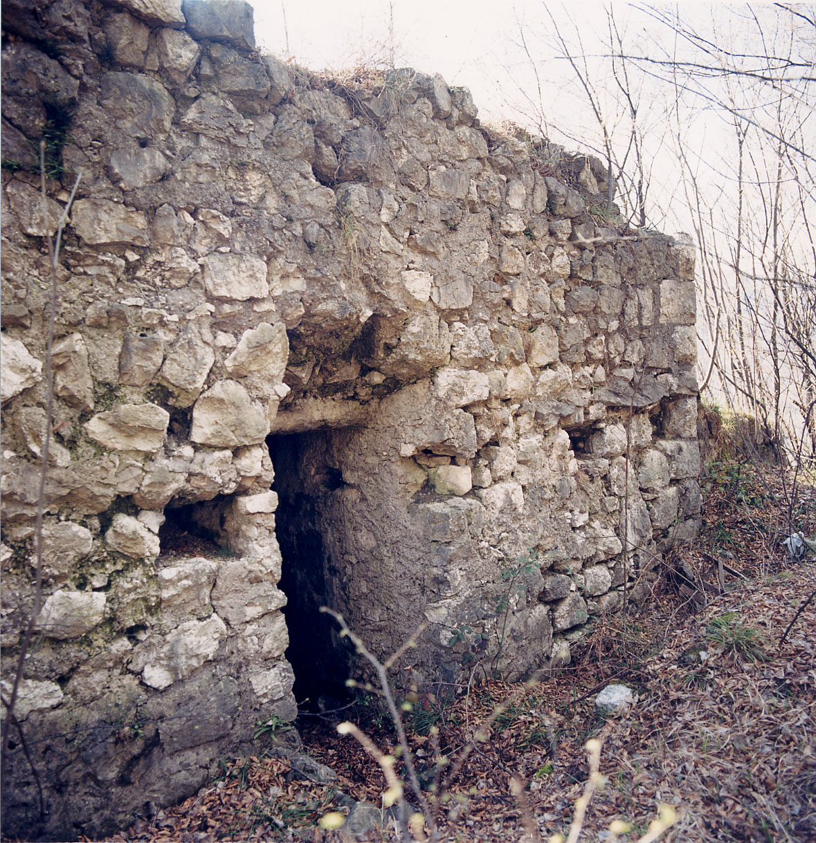 Ruderi del Castello di Serravalle (CASTELLO) - ALA (TN) 