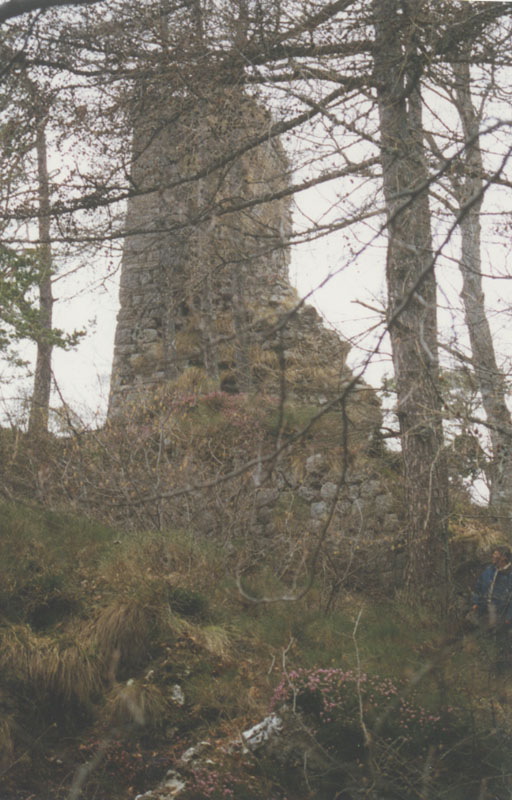 Castello di Castellino (CASTELLO) - ARCO (TN) 