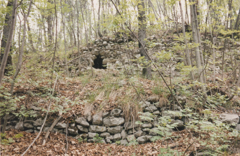 Castello sul Dosso di Saiano (CASTELLO) - ARCO (TN) 