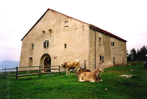 Malga Palazzo (MALGA) - BESENELLO (TN) 