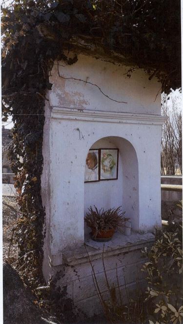 "Capitello de la cartera" parte della p.f. 1428/1 CC. Scurelle (EDICOLA) - SCURELLE (TN) 