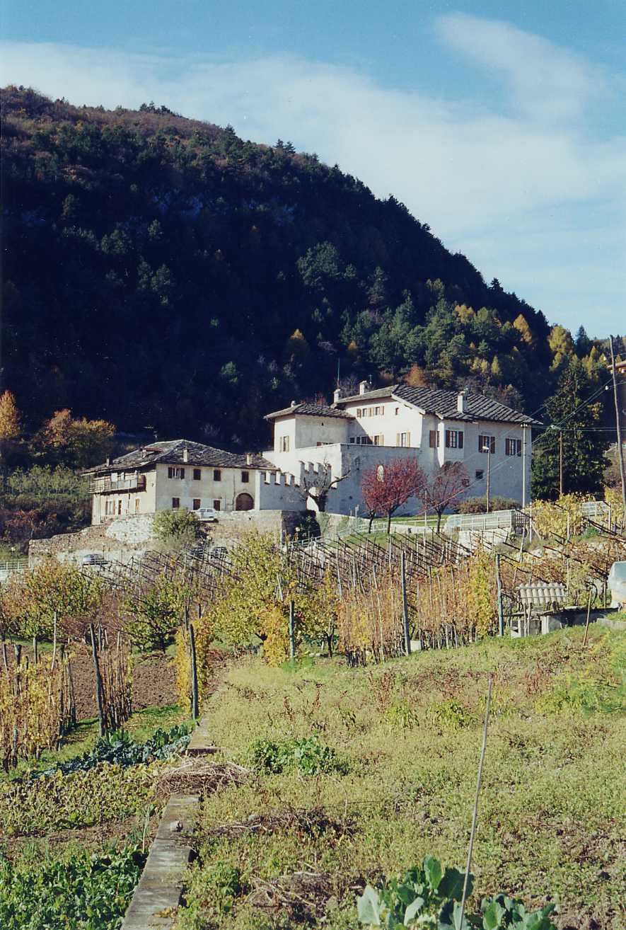 Castel Telvana (CASTELLO) - CIVEZZANO (TN) 