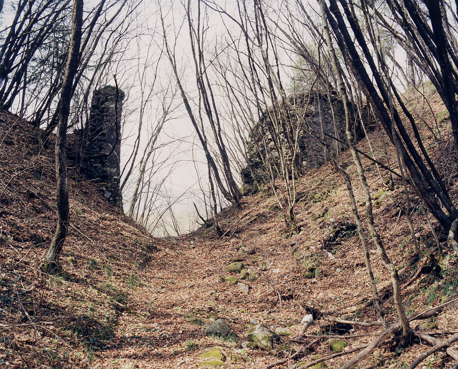 Castel Flavon (CASTELLO) - CONTA' (TN) 