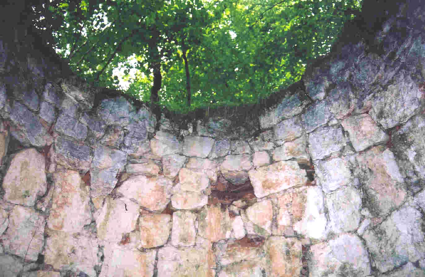 Calchera di Boro su parte delle pp.ff. 1672; 1809/31 CC. Grigno (CALCHERA) - GRIGNO (TN) 