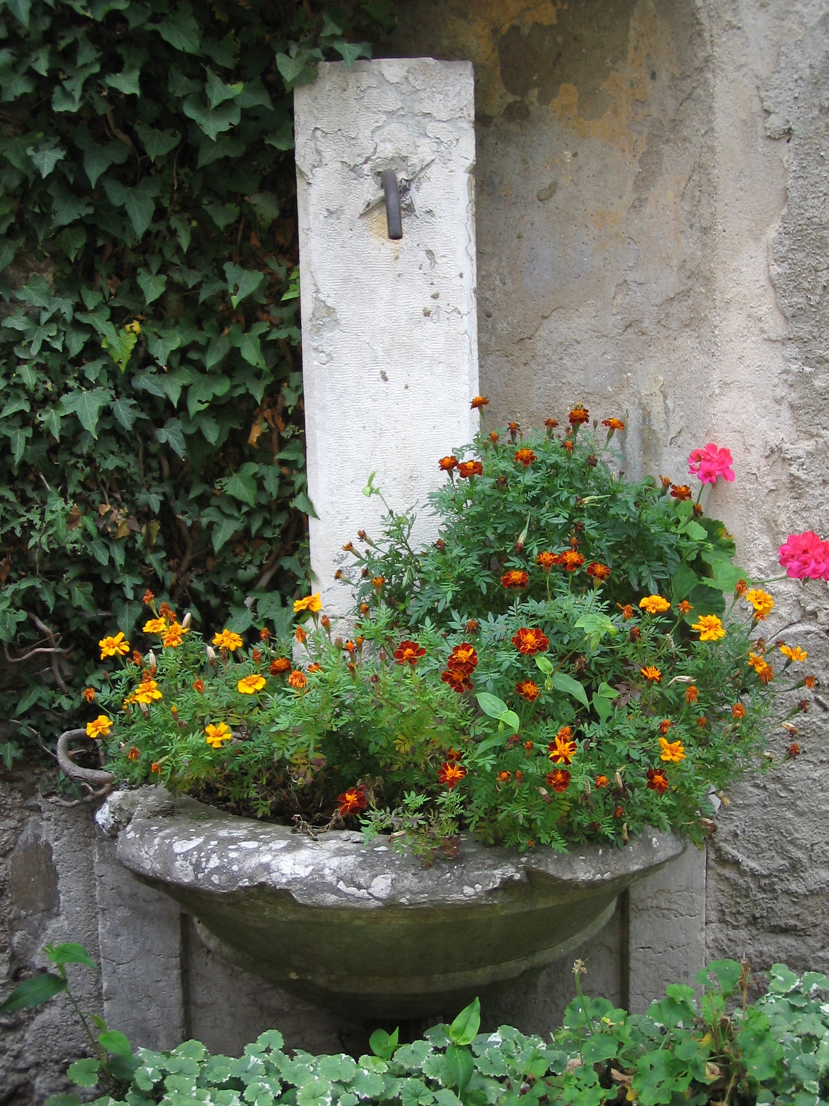 Fontana in Via Garibaldi p.f. 7675/1 CC. Levico (FONTANA) - LEVICO TERME (TN) 