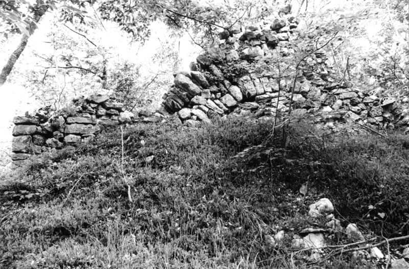 Chiesa di S. Martino (CHIESA) - COMANO TERME (TN) 