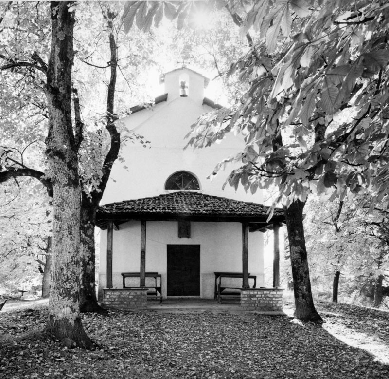 Chiesa di S. Lorenzo martire (CHIESA) - MEZZOCORONA (TN) 