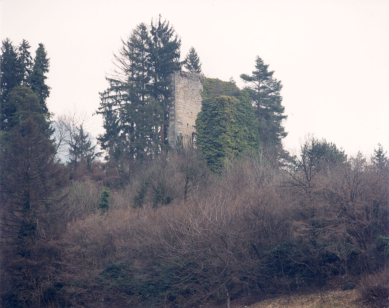 Castel Gresta (CASTELLO) - MORI (TN) 