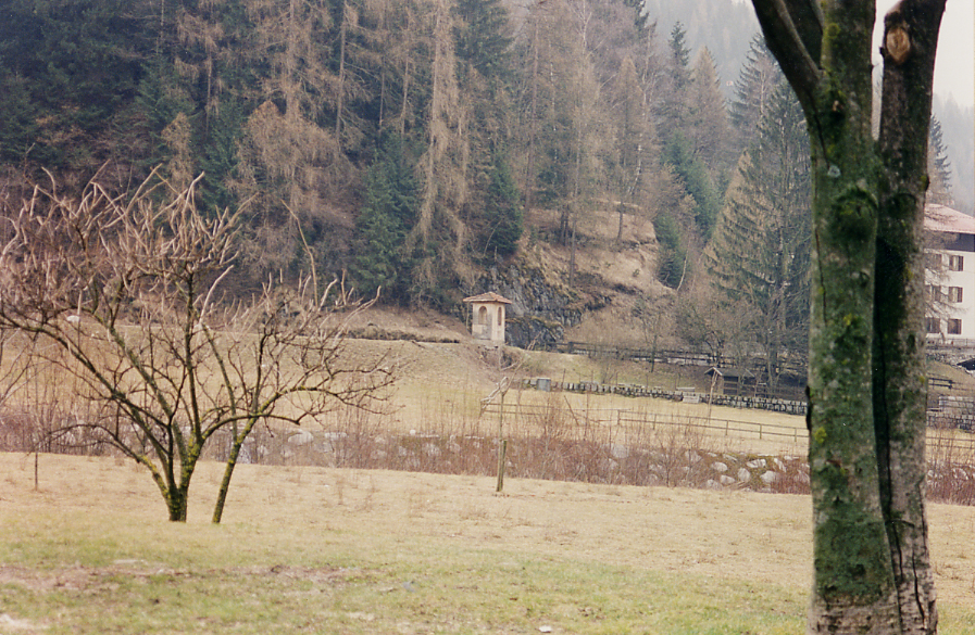 Edicola sacra p.f. 4278/1 CC. Pinzolo (EDICOLA) - PINZOLO (TN) 