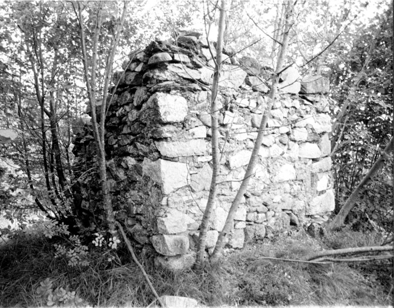 Ruderi del Castello di S. Nicolò (CASTELLO) - RONCEGNO TERME (TN) 