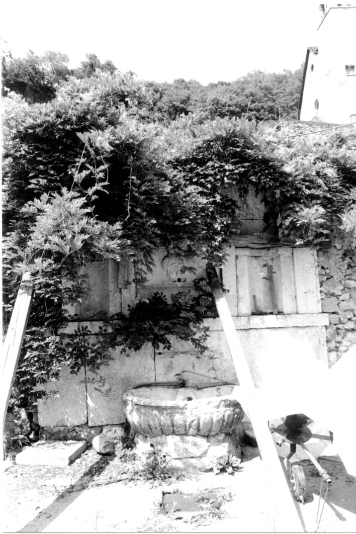 Fontana su parte della p.ed. 315/1 CC. Scurelle (FONTANA) - SCURELLE (TN) 