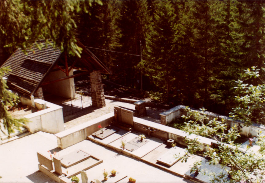 Cimitero di S. Martino di Castrozza (CIMITERO) - PRIMIERO SAN MARTINO DI CASTROZZA (TN) 