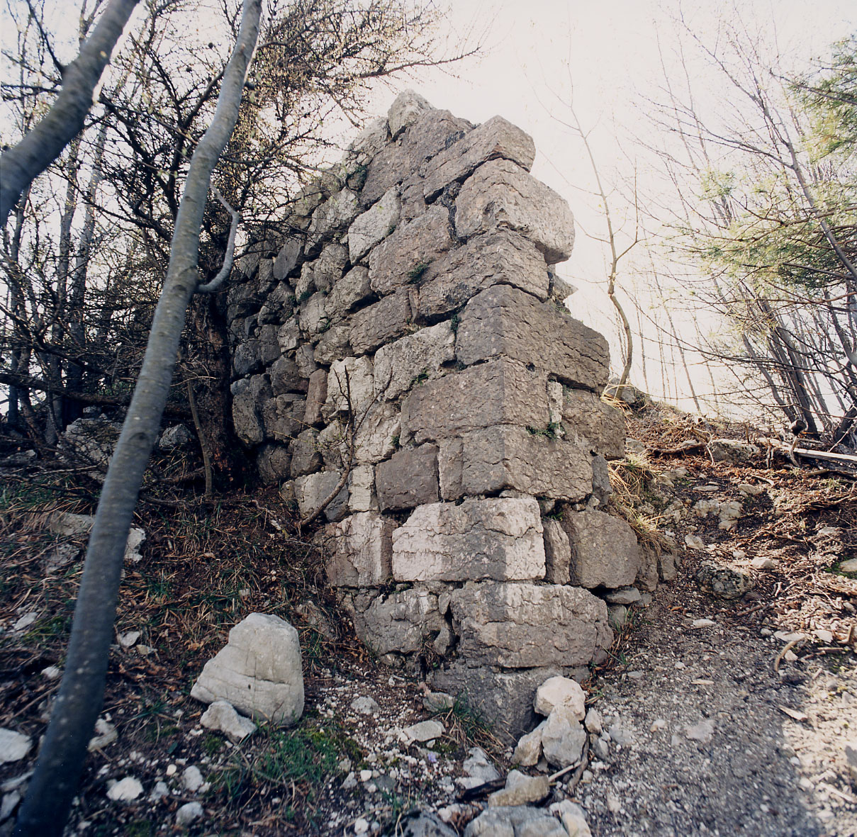 Castel Visione (CASTELLO) - TON (TN) 