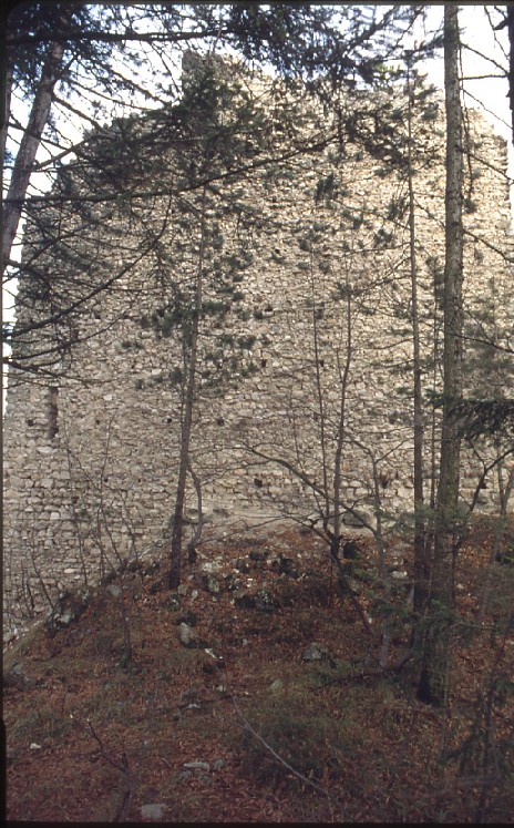 Castel S. Pietro (CASTELLO) - TORCEGNO (TN) 