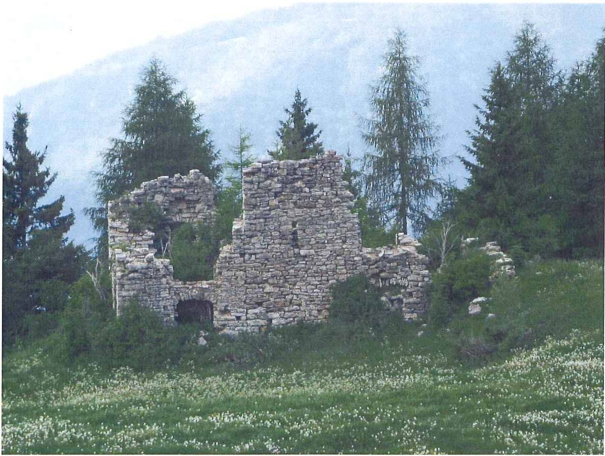 Ruderi di Palazzo Valli (PALAZZO) - TRAMBILENO (TN) 