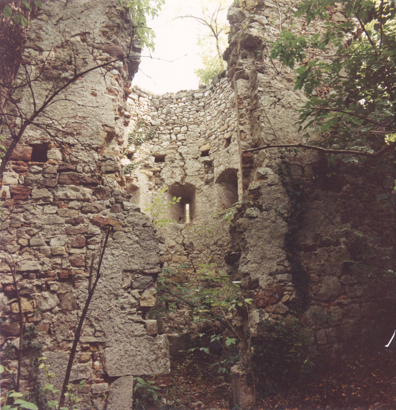 Torre di Pietrapiana (TORRE) - TRENTO (TN) 