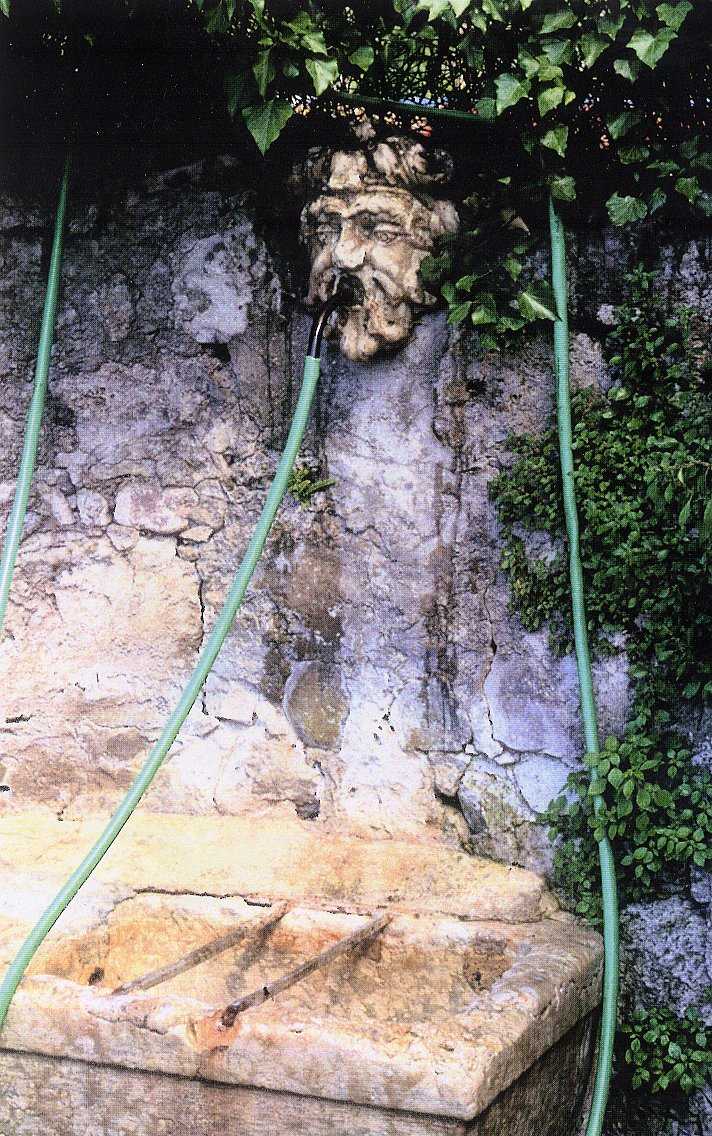 Fontana del Barbon su parte della p.f. 1100 CC. Villazzano (FONTANA) - TRENTO (TN) 