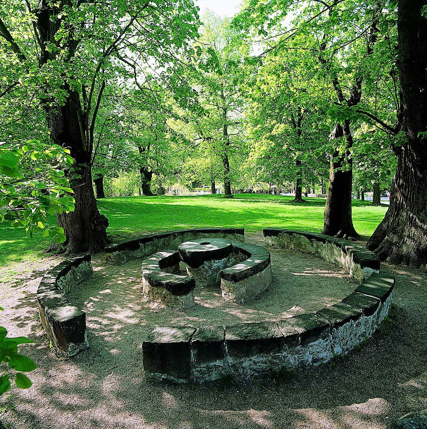 Parco della Pieve (PARCO) - CAVALESE (TN) 