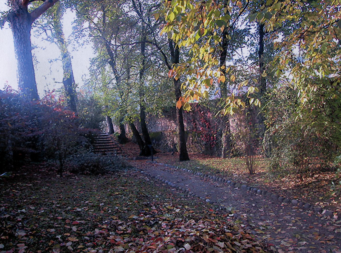 Pertinenza di Palazzo Libera p.f. 290 CC. Villalagarina (PARCO) - VILLA LAGARINA (TN) 